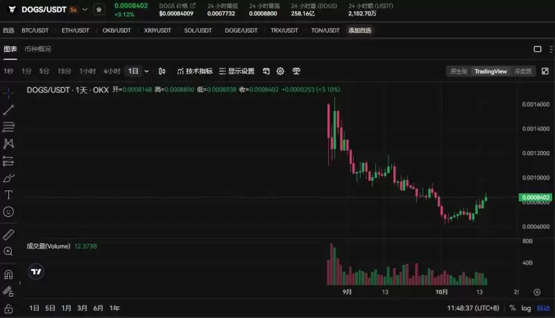 DOGS币怎么样？未来潜力如何？值得长期持有吗？未来价格如何？