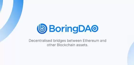 BORING币发行量与总量介绍