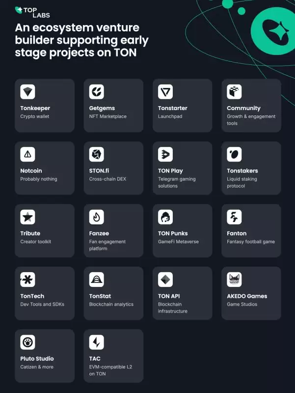 TON 登陆币安后，如何在 TON 生态寻找潜力项目？