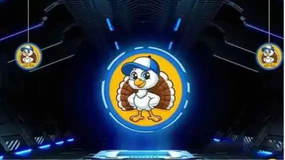 2025年最值得投资的100倍的Meme币？模因币的未来展望