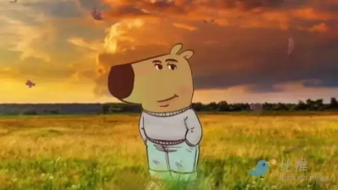 CHILLGUY币是什么？CHILLGUY币会是下一个狗狗币吗？