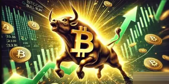 Nansen CEO:2025年将迎史上最大的牛市