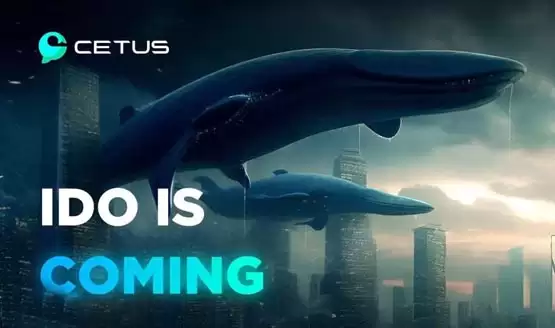 CETUS代币全面介绍