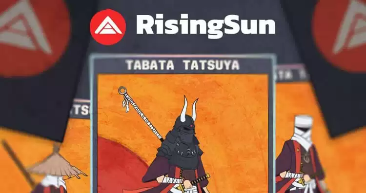 RSUN币发行量及项目详情