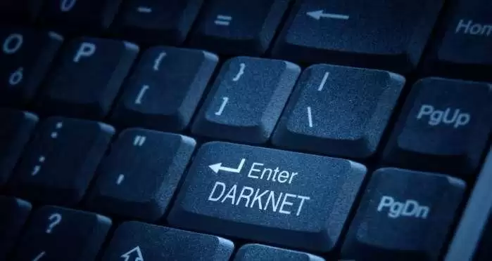 加密货币六大未解之谜:垃圾场里的BTC和消失的高管