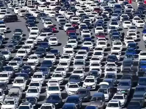 中国新能源汽车需摒弃黑公关思维，理性应对舆论监督