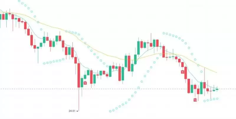 美大选后有哪些值得炒作的加密货币？