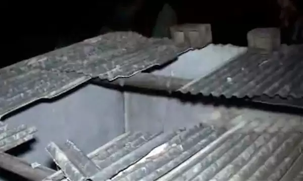 巴西男子屋里睡觉被天降巨牛砸死:同床妻子毫发无伤