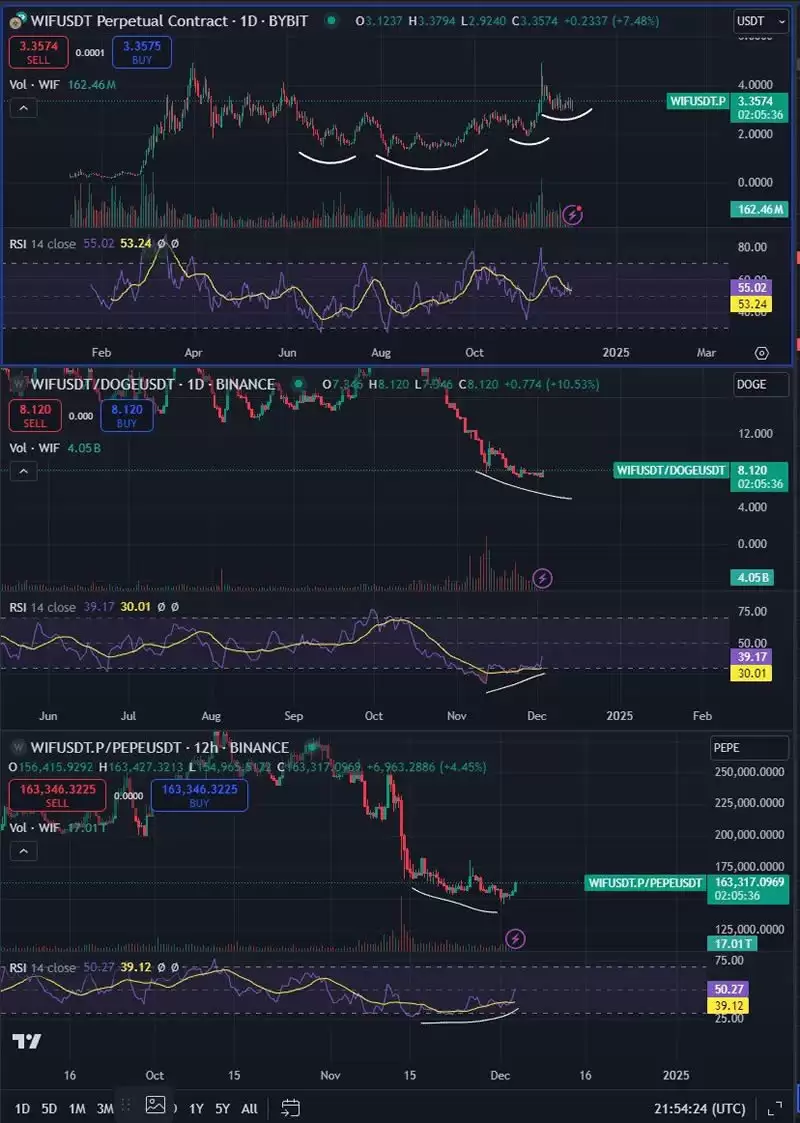 比特币突破10万!分析师看好这3种币大暴涨,山寨狂牛准备来袭?