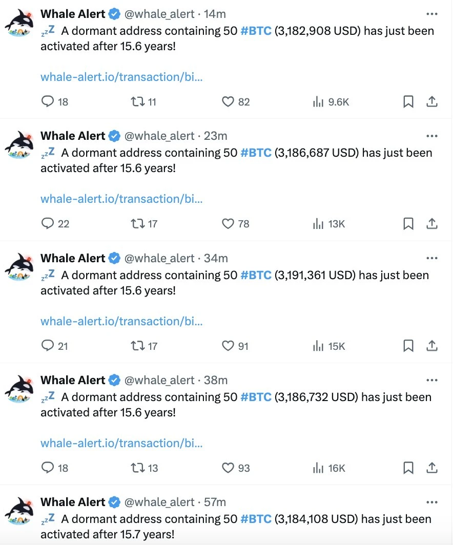 这将是最后一轮加密货币牛市？9大远古巨鲸苏醒意味着什么？