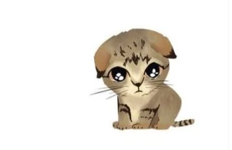 Sui生态还有哪些好项目?值得关注的12个热门Meme盘点