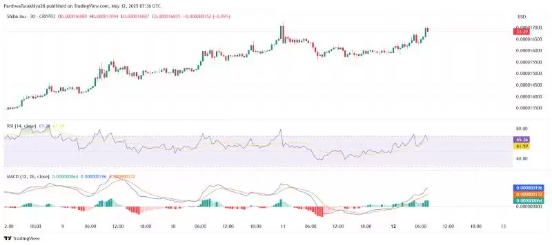 SHIB今日价格预测:BTC达到12.5万美元,SHIB能达到0.0001美元吗?