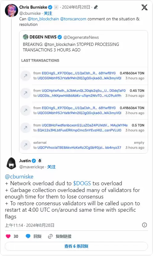 TON网路停止出块超七小时,当机原因是什么？有何影响？