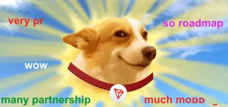 SUNDOG币怎么买?上架交易所了吗?