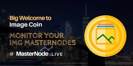 IMG币总量多少？IMG币发行量介绍