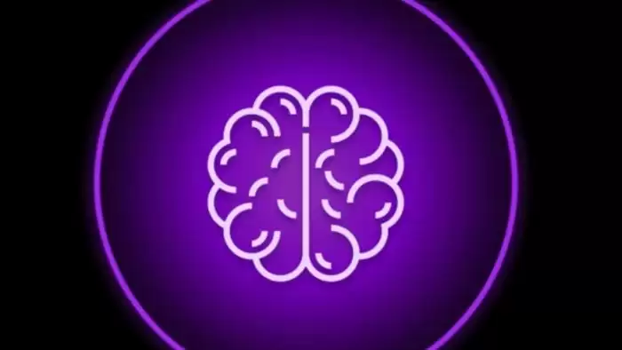 PAAL币怎么买卖交易？PAAL币上线了哪些交易所？