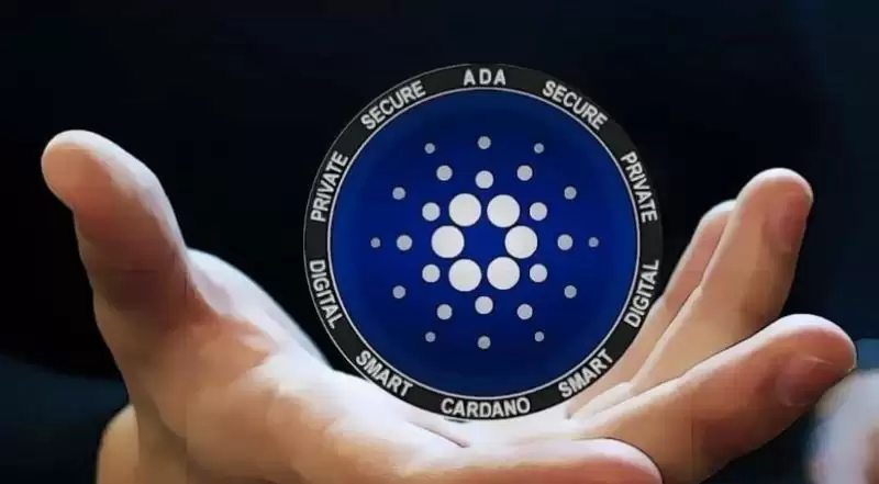 ADA币能涨到什么价位?未来能涨到6美元吗?还值得投资吗?