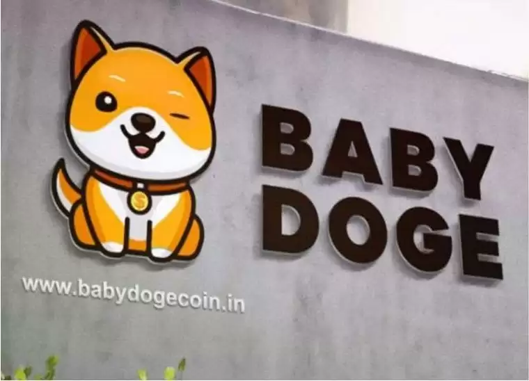 宝贝狗币(BabyDoge)是什么?有何用途?未来如何?