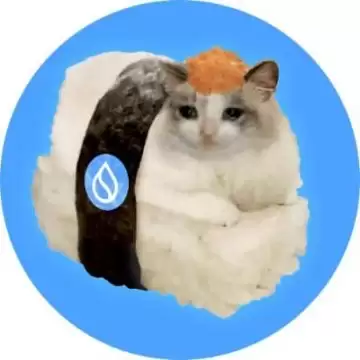 Sui生态还有哪些好项目?值得关注的12个热门Meme盘点