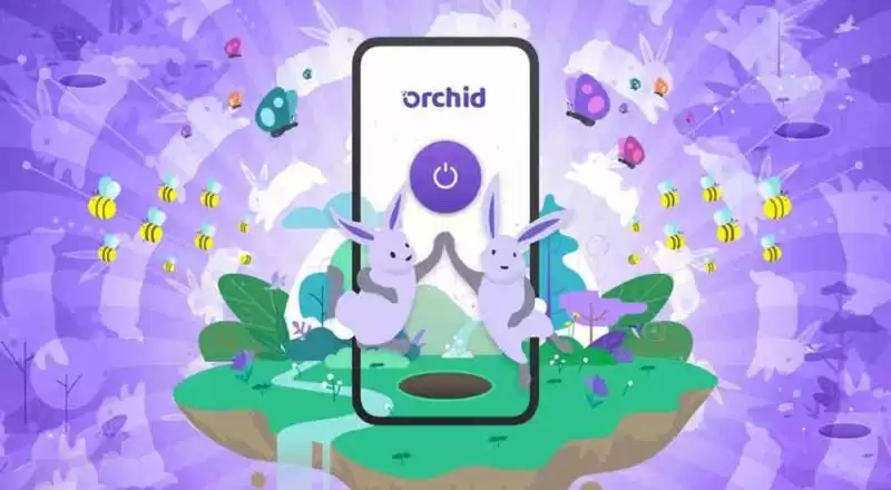 OXT兰花币未来前景如何？OXT还有价值吗？怎么获取OXT？