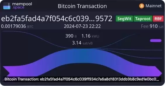 Fractal、OP_NET、AVM、BRC100、可编程符文,BTC 还有哪些扩展方案?