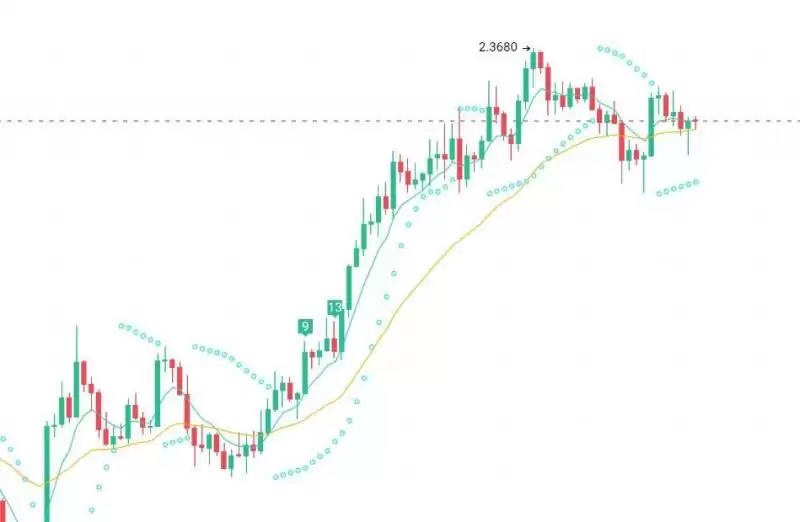 美大选后有哪些值得炒作的加密货币？