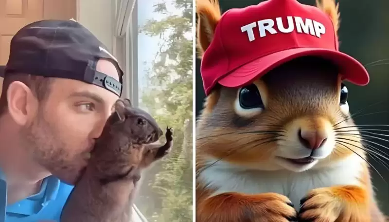 PNUT币如何购买?PNUT上线哪些交易所?