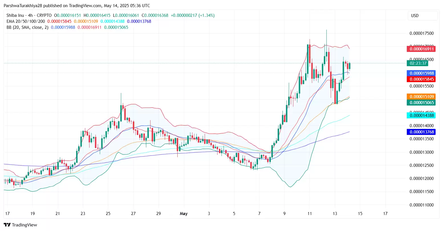 SHIB近期价格分析:价格预测上涨101%,达到0.000048美元