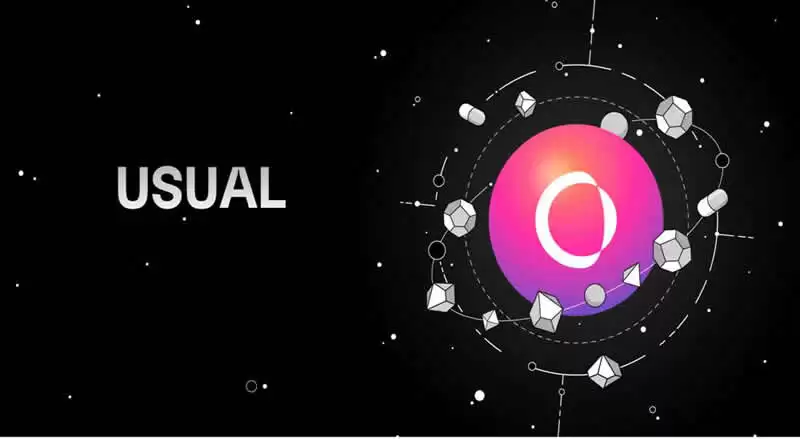 Usual币是什么?值得投资吗?币安Launchpool第61期新币挖矿项目