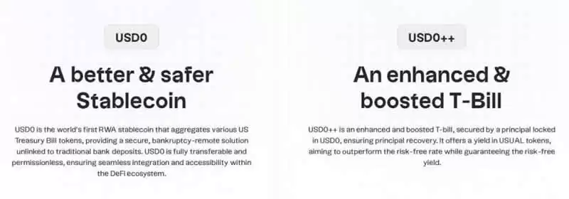 Usual币是什么?值得投资吗?币安Launchpool第61期新币挖矿项目