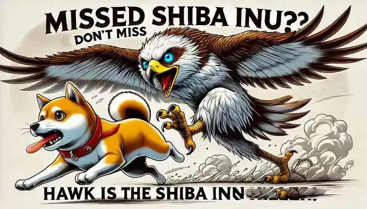 HAWK币是什么？值得长期持有吗？未来怎么样？