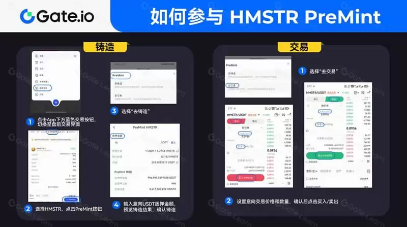 史上最大空投项目？如何参与HMSTR币空投？