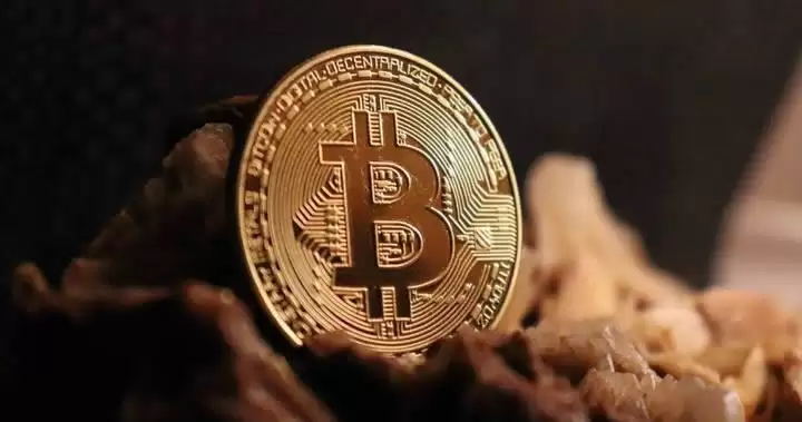 数字交易怎么操作？如何挣钱？新手全教程