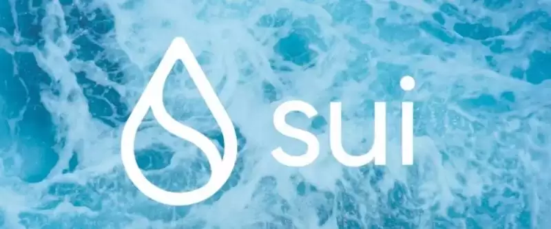 Sui一周暴涨140% 是什么造就了Sui？Sui暴涨原因分析