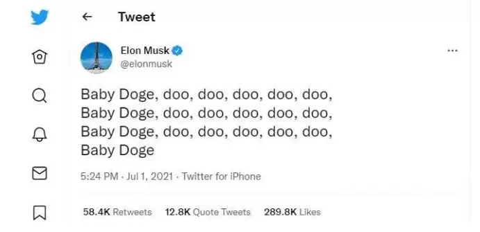 宝贝狗币(BabyDoge)是什么?有何用途?未来如何?