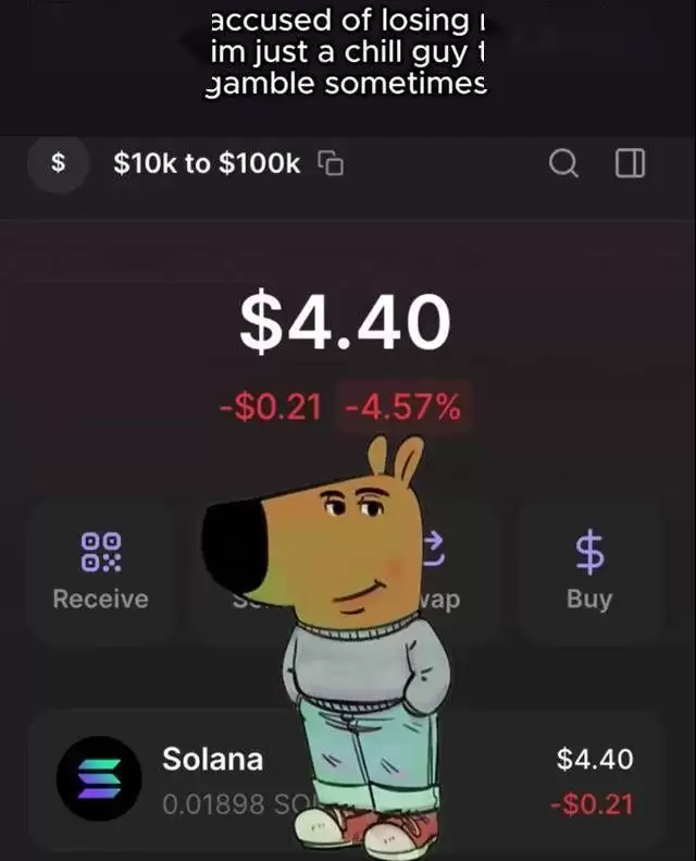 CHILLGUY币是什么?未来前景如何?值得长期关注吗?