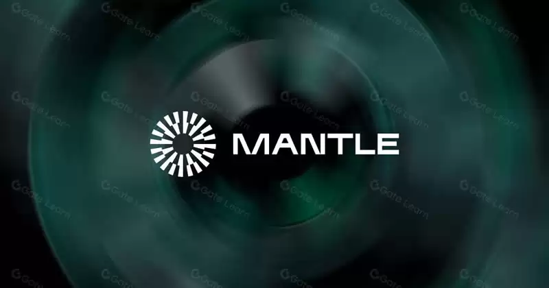 以太坊上12大热门Layer2解决方案(项目代币介绍)