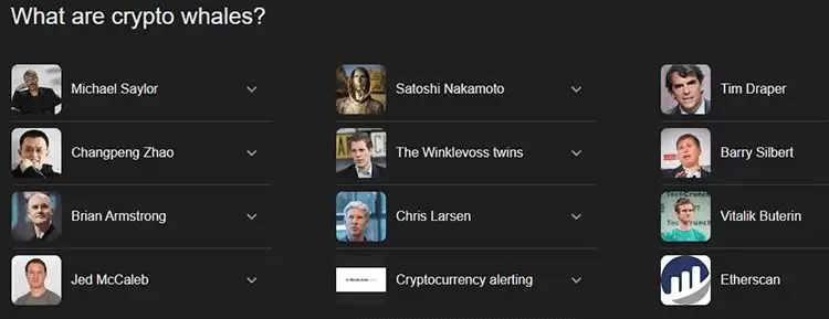 什么是加密巨鲸(Crypto whales)？巨鲸都有谁？观察巨鲸地址有什么用？