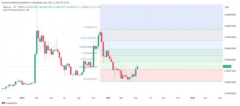 SHIB近期价格分析:价格预测上涨101%,达到0.000048美元