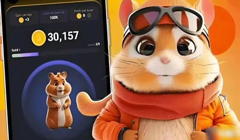 HMSTR币合约地址是多少?HMSTR币还值得购买吗?