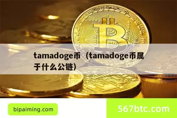 tamadoge币(tamadoge币属于什么公链) \