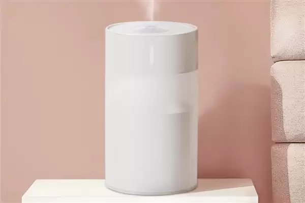 “加湿器加板蓝根能防感冒”系不实消息：会伤害呼吸道