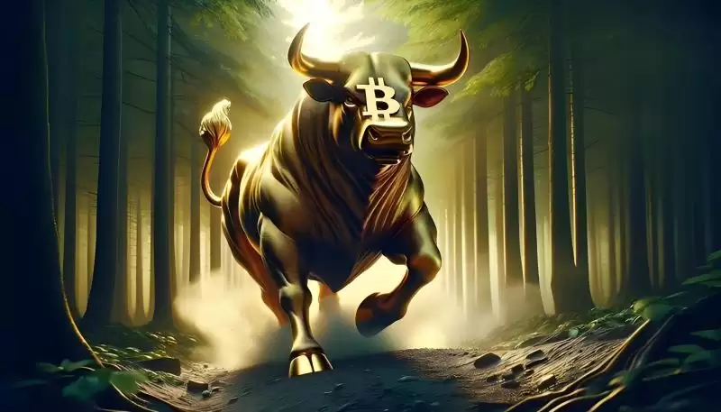 比特币突破10万后未来价格怎么走?能涨到12万美元吗?