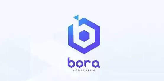 BORA是什么币种？BORA币全面介绍