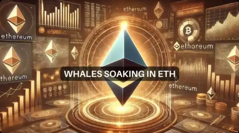 ETH价格分析:以太坊鲸鱼囤积10亿美元,未来价格会暴涨吗?