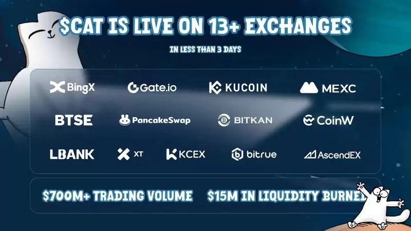 五天暴涨十倍,Cat是BNB meme下一个龙头币吗?