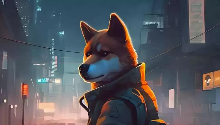 AIDOGE币会成为百倍币吗?有前景吗?