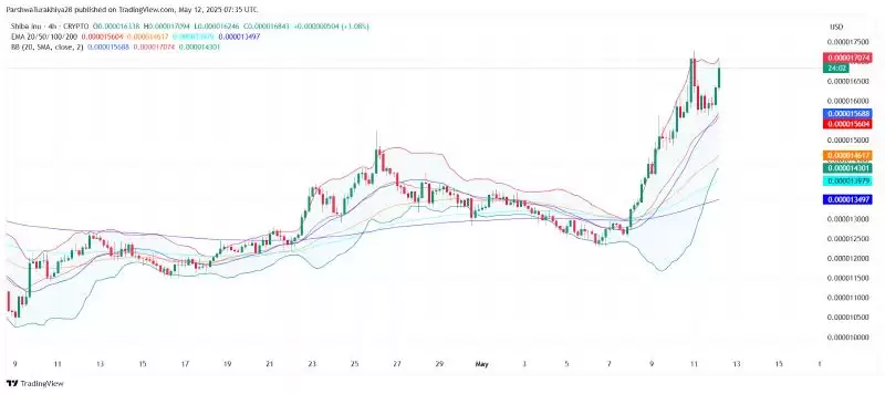 SHIB近期价格分析:价格预测上涨101%,达到0.000048美元
