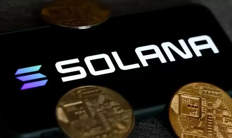 真的有很多人在Solana上赚到大钱吗？能让您成为百万富翁吗?