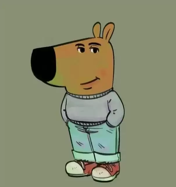 CHILLGUY币是什么?未来前景如何?值得长期关注吗?